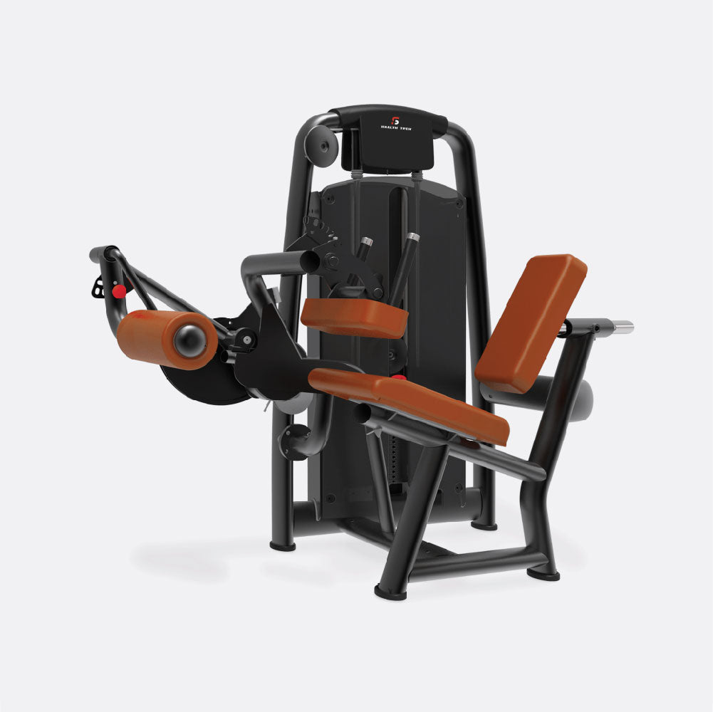 Seated Leg Curl